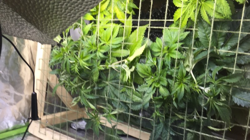 051BBE49-3999-4C89-AF4F-9356C0423CAC