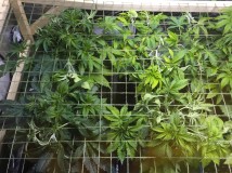 CC4A412A-768B-425D-82D7-4B3EDB29F738