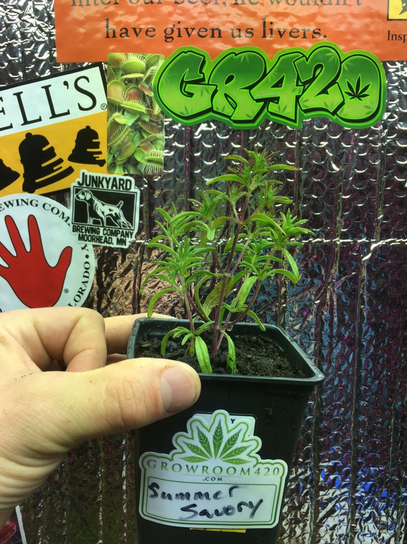 9348D9A7-D07A-4449-AA51-0A1BD2168034