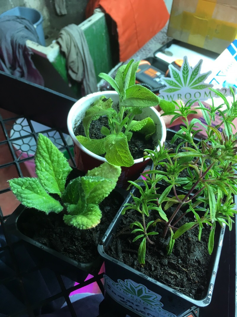 0E3C9611-1310-4019-82C6-052E066BE4A5