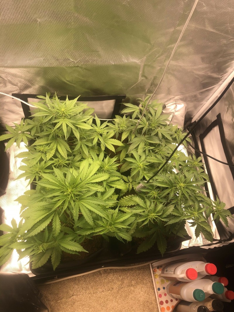 Day25