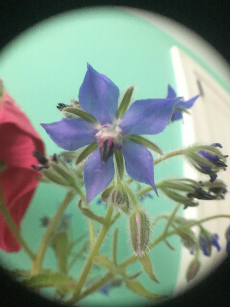 B3B79530-380D-4811-A635-6581FC6E7716