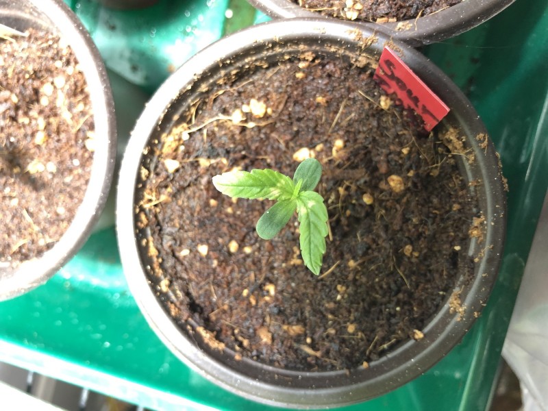 20A7A652-84F3-4542-99C3-071AFF642E0C