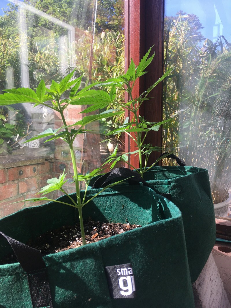 F873DB43-16C6-48F6-8A97-50217FCC7BBA