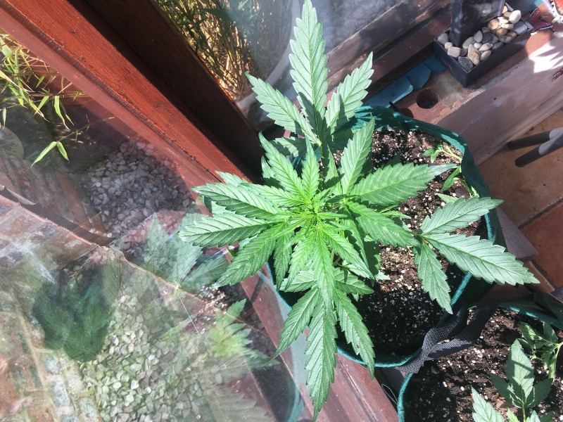 4532757D-E10E-433E-8DEB-F3526CA60BB9