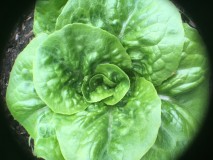 0E704156-E050-4C68-90E5-C235E8212B58