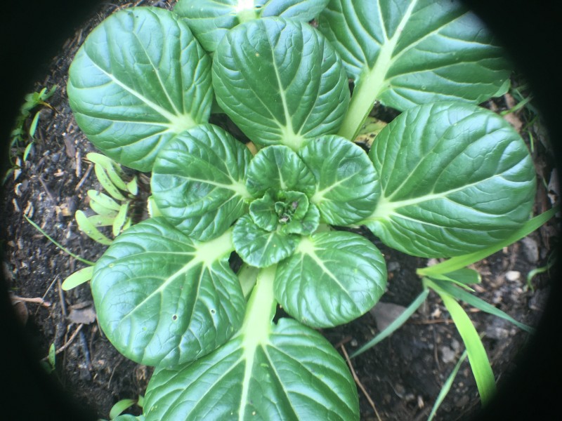 743A8061-48F1-4965-8B26-9D516DCE1CB7