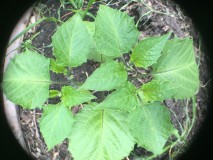 F2CD05A4-1177-402C-9245-861947DBE844