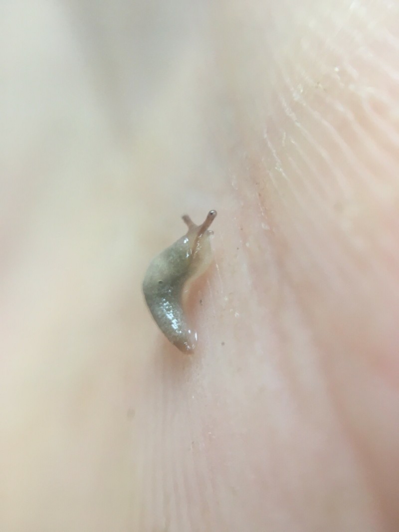 FCD36806-CE84-4520-AFC9-22119DC17B61