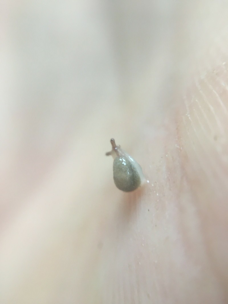 2FC1EDB0-573A-41DE-BF92-F9A6B8CC9D62