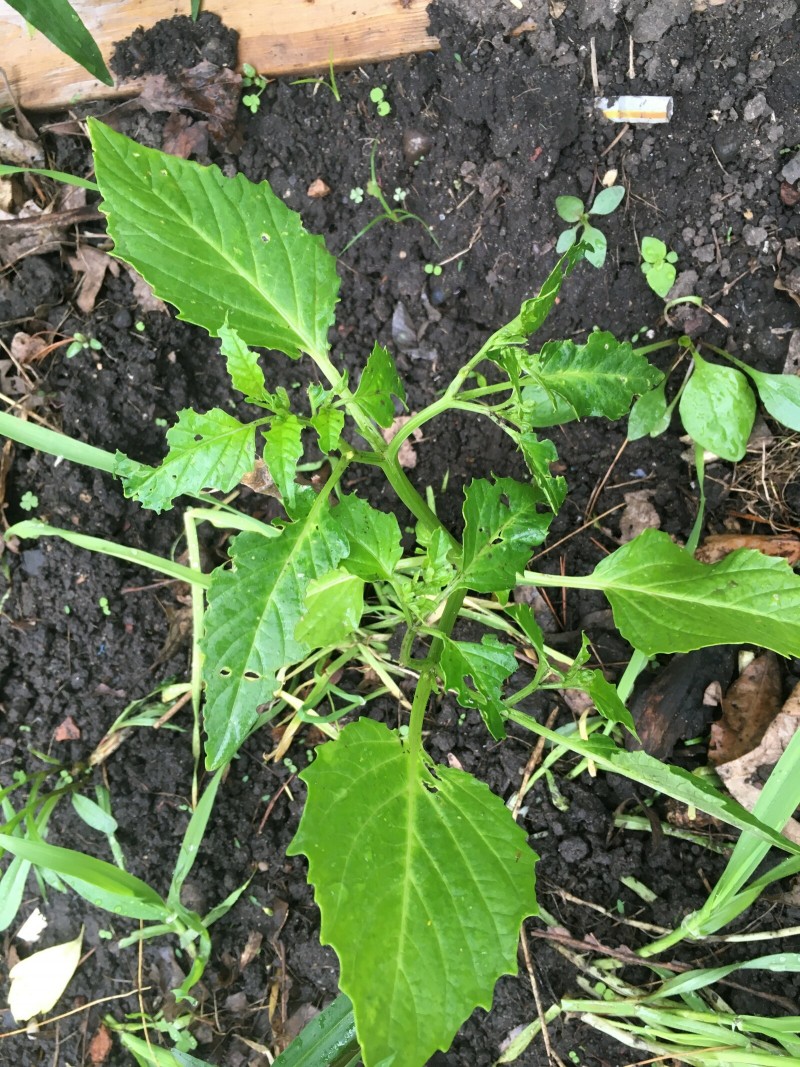 F48ACC60-A7FD-414C-9DBE-27B43914905A