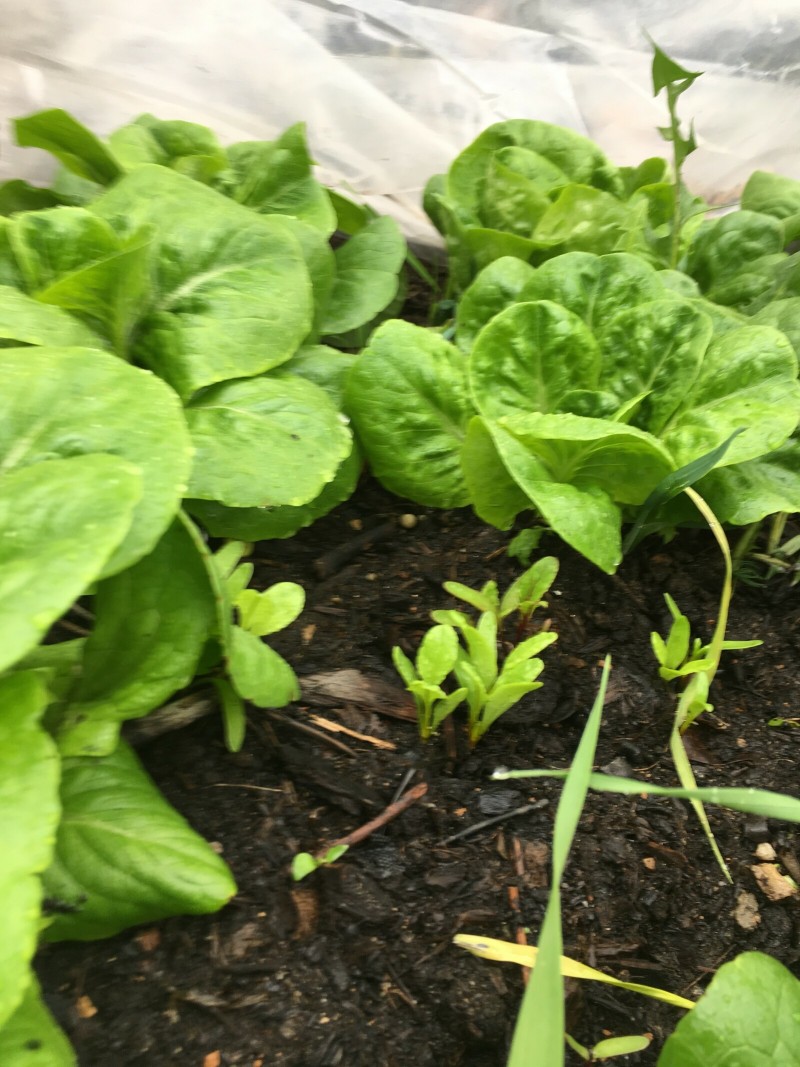 28292BEA-E12B-478B-ADBA-2C52DC257107