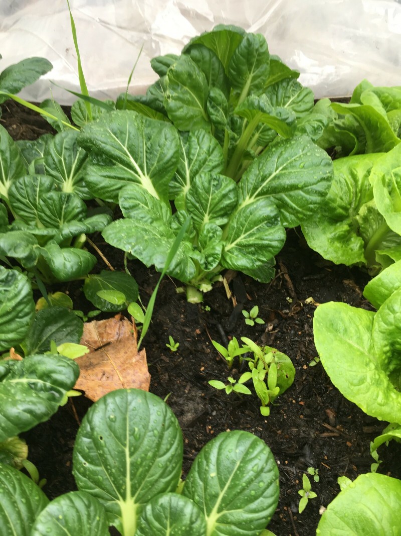 D2C7B4B6-441D-48A6-B5E4-3D90F91FA92E