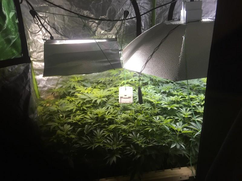 8BE338A6-B4D3-4E12-96CA-D9E052EAD6CA