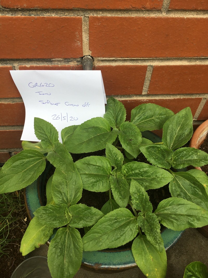 999FA88D-9EEF-43A9-A1A6-04E9B4E15871