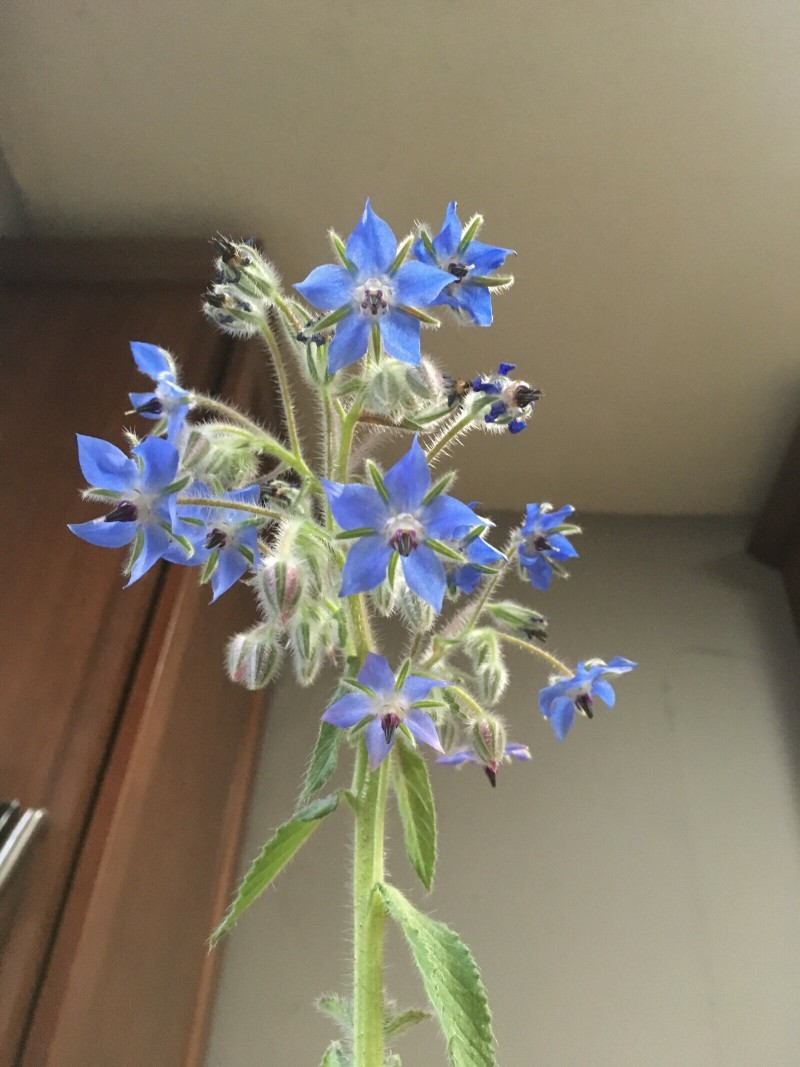 95EC83AE-142D-46CF-890B-81C5F5B29441