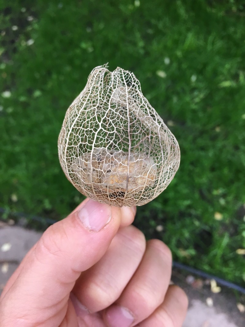 D48E48A2-F133-4028-8CCE-C1259225C02A