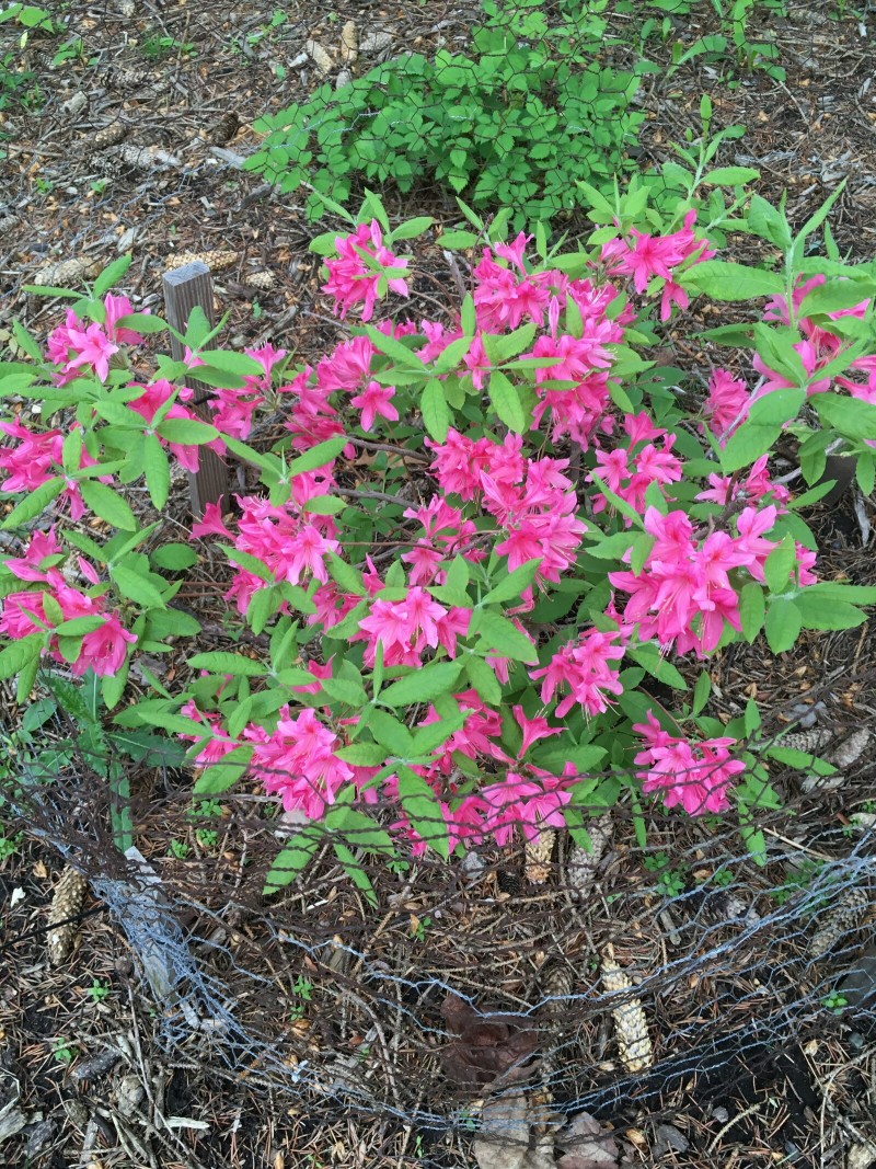 D84BDD0A-1FCB-4C97-BB22-C30510D880C2