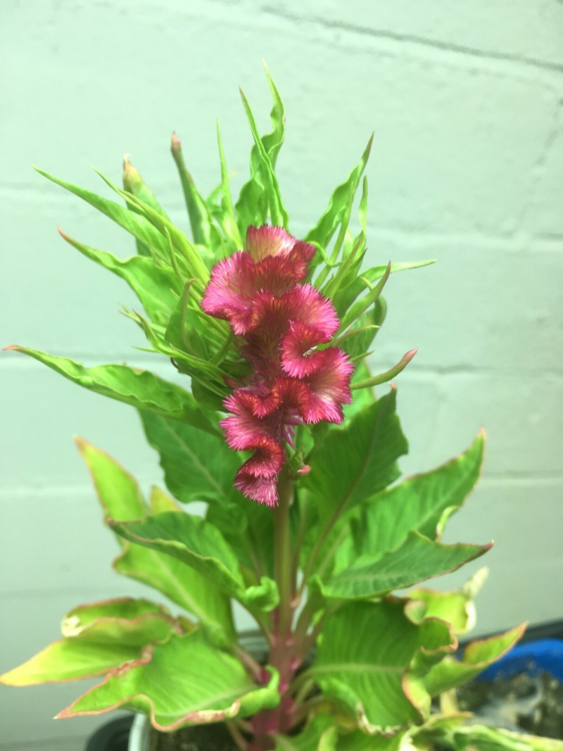 1D602E21-8703-4C3C-AA07-8866B60AB786