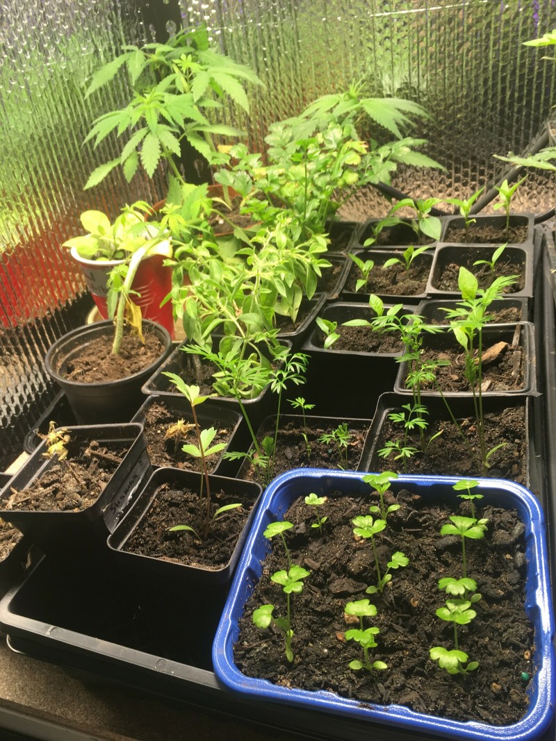 5FEAA493-DA00-43DA-B926-3A7BC69D4AFC