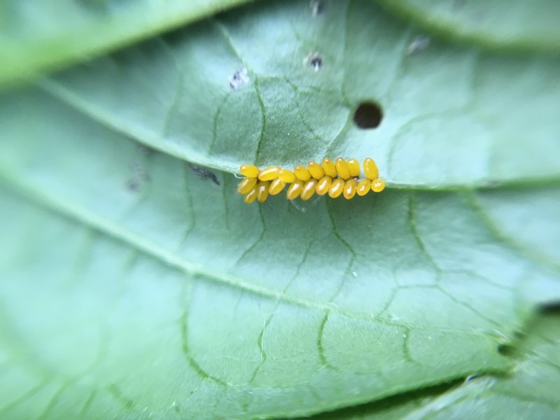 98711482-86F2-4300-8A20-6DB244A7C382