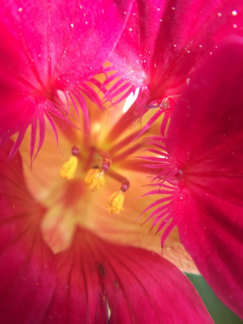 EF429BF8-CA41-465F-BBB3-BF49707005FF