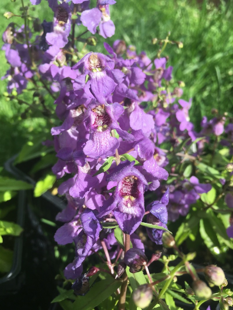 B7EC59BF-DC36-46C5-BD23-A5DEE0F87B49