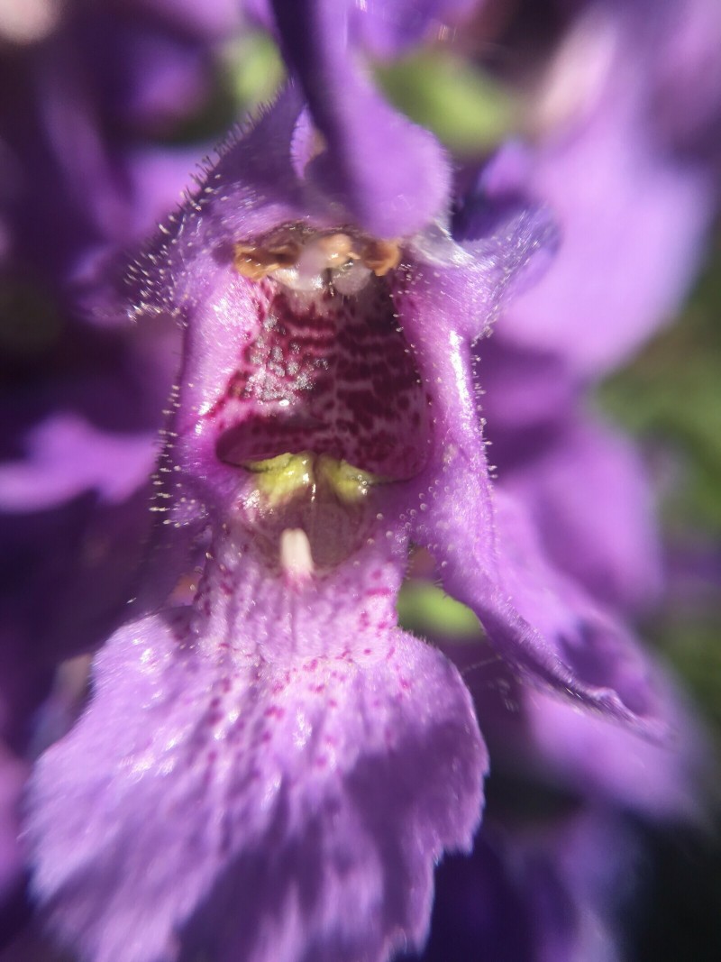 2791B4BF-6CE4-4703-A569-719EC0B82F20