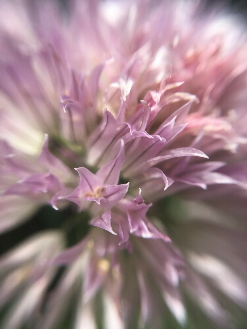 90EE8C43-7AEC-4D0A-9351-3D8F5D5145C3