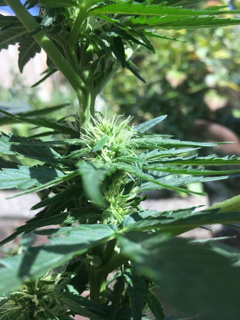 69EAAE05-2D4D-4A27-98DC-5B514D58AA74