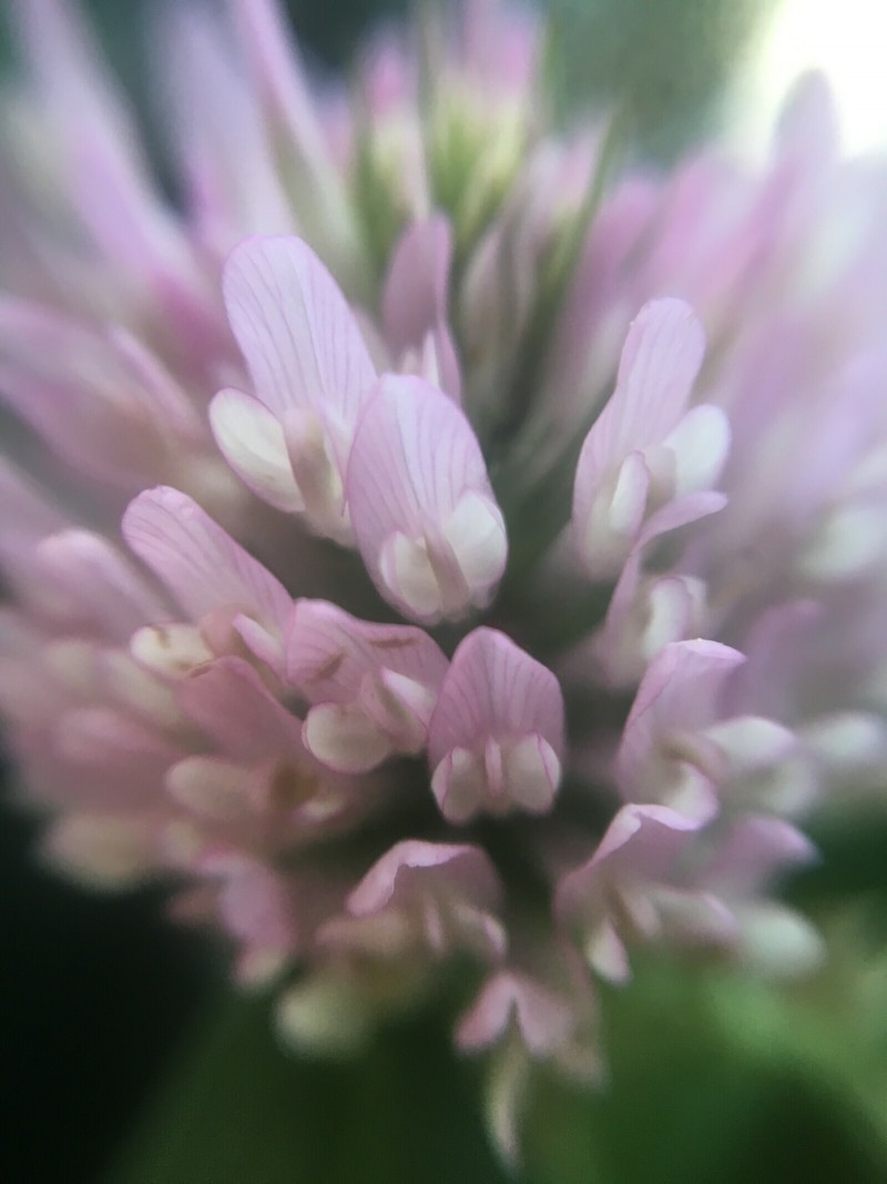 208D57B4-DBDD-4C93-9ACF-714DBE3AE965