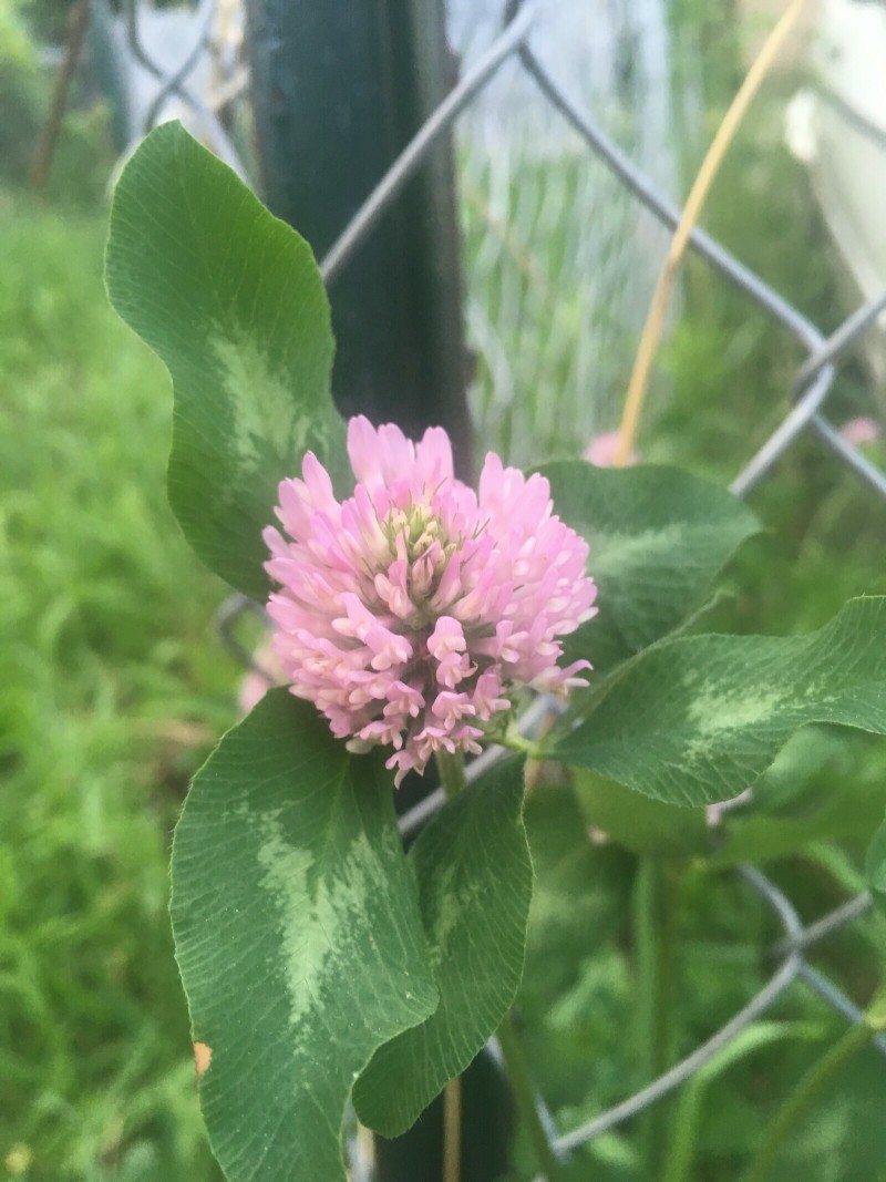 93EB29CD-0119-45BE-8892-C05AF8331CB9