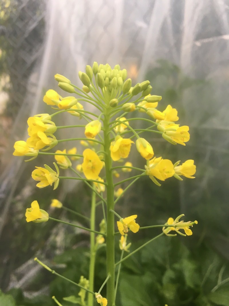 F2EF6922-6F33-4D6B-8D5C-C2056BEBECD0