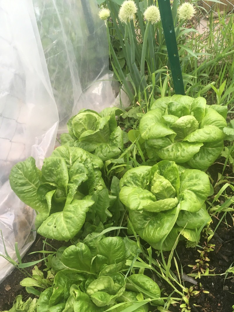 DFDECD81-48D6-4A2F-B762-437B833F40DC