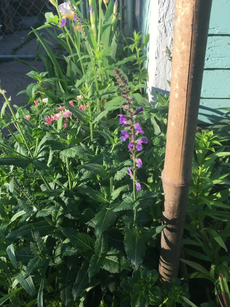 602F7284-622F-4F01-9C3D-4EDE0BADAC24