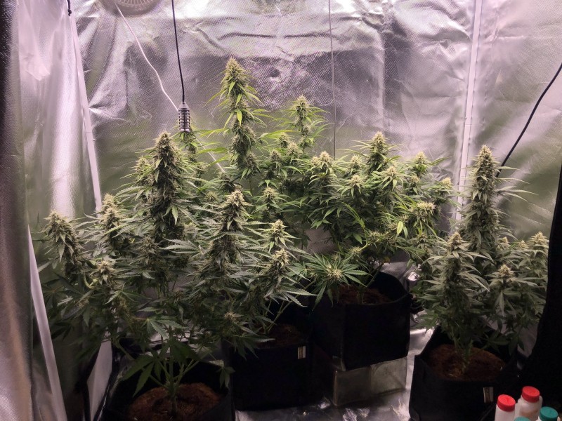 Day53