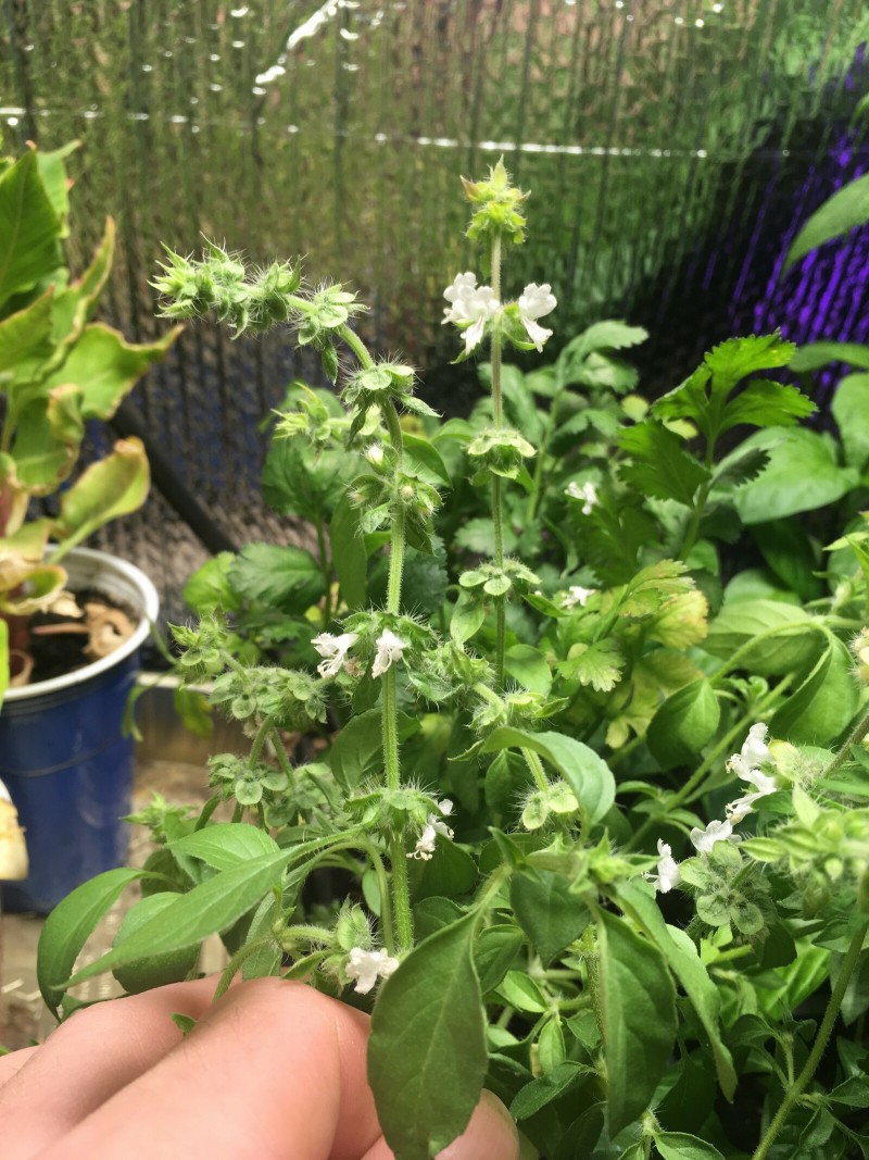 F93CDB6F-B417-4E9B-BA33-33FF07F1FDC8