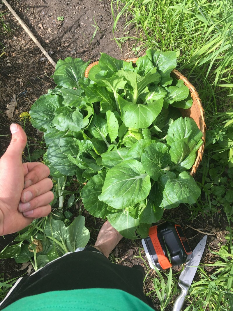 E7C6BB38-D9B9-43C3-BAA2-62B47ABD8594