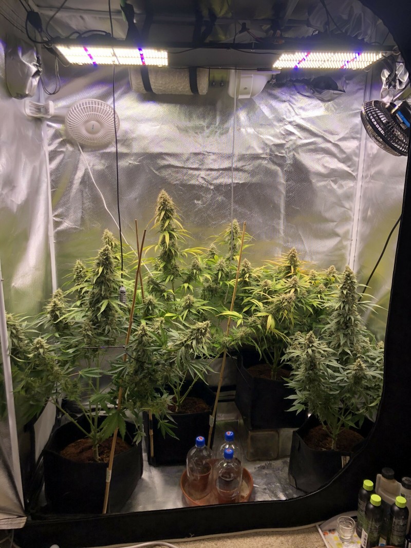 Day 60