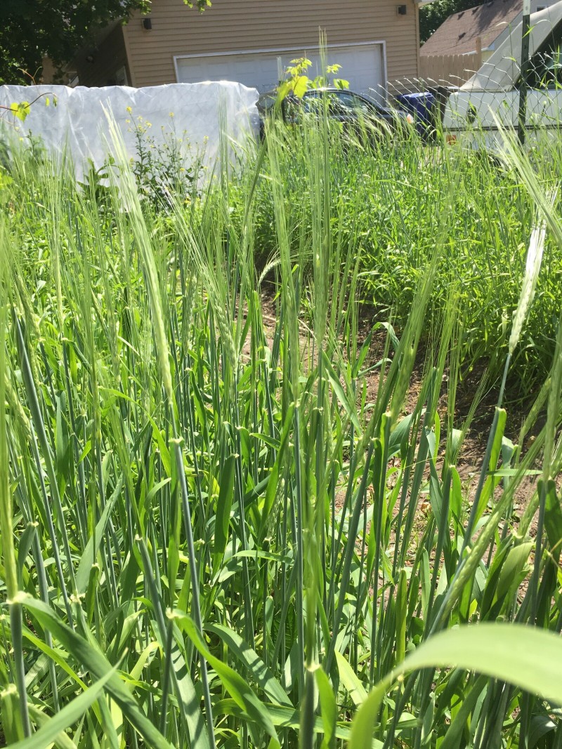 FC1ED456-FDB2-4703-B124-094542B80E22