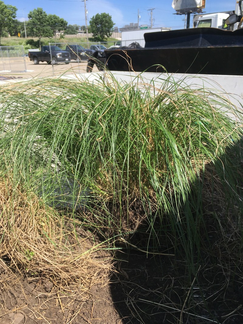 B3F5302B-D802-4902-B24E-4100346D9EE5