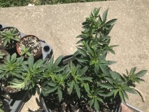 7E99B580-F756-4902-952A-0A09D8E5B7CB