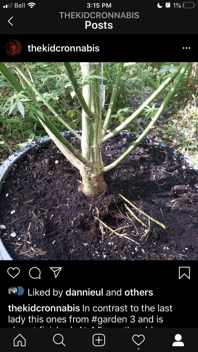 4FEBC658-8BA6-4213-B530-1F05A56A4F70