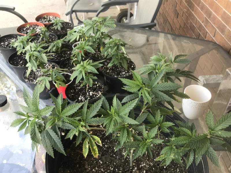 2B8A1EAB-737E-4447-B609-16AD4B6C5714