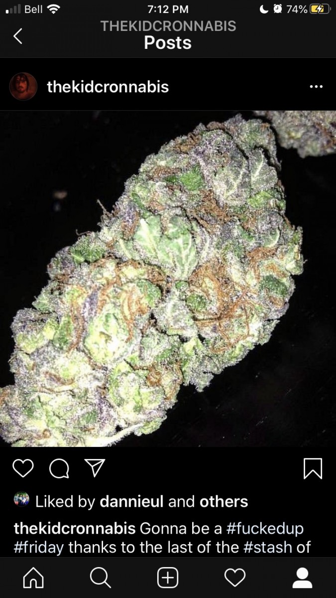 9D0418FF-B094-494F-AD99-DAE03F38C5F3