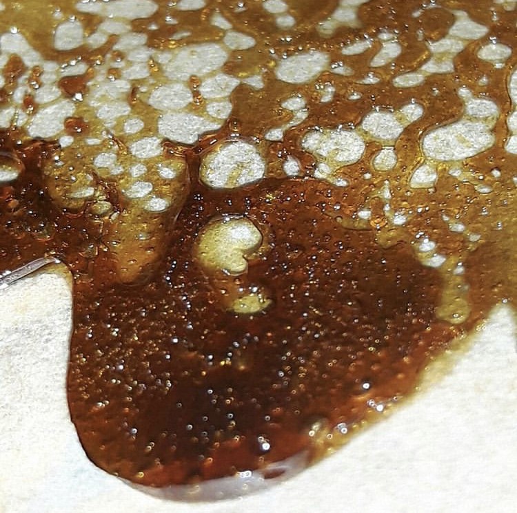 1B0F8618-215A-43C4-BA39-527DAC181079