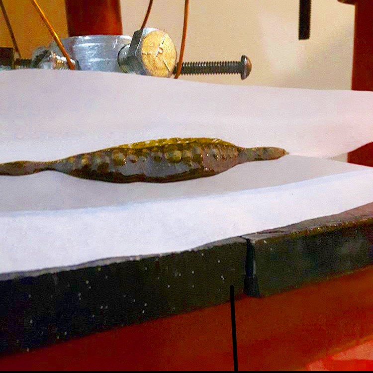 008DD0F3-0F79-48FD-9F2C-E711575546D3