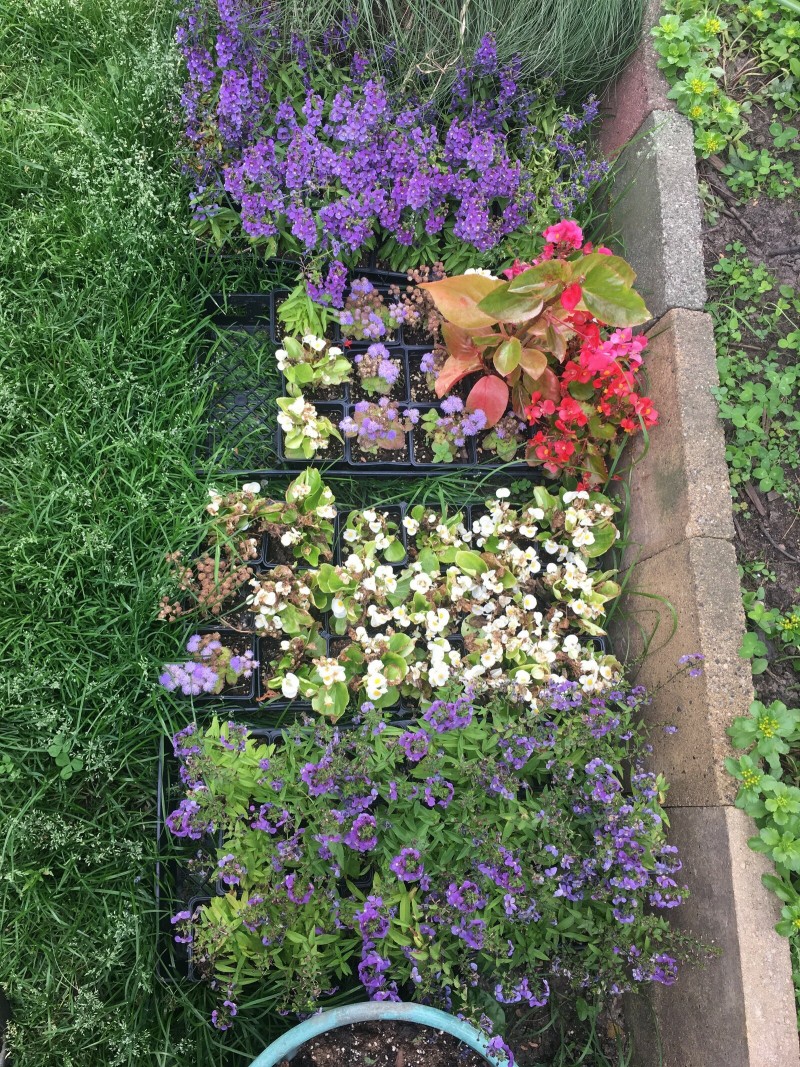 ACABA53C-9B6D-48EC-ACFD-3EFB89766C18