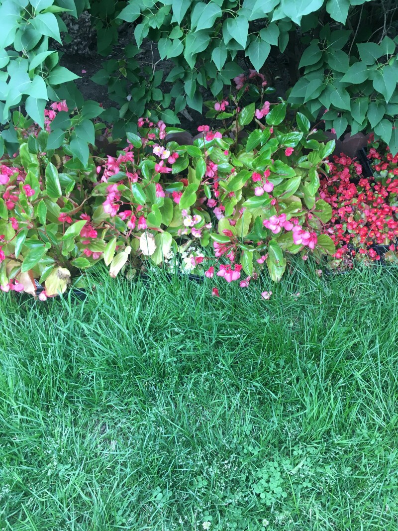 7A432E8E-6492-4C8E-98C2-C9C0BFD85D45