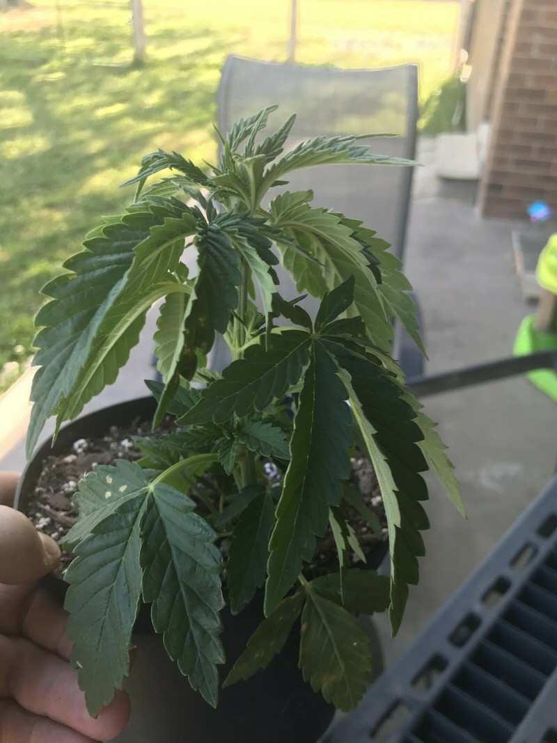 BE836371-1B62-4F0A-8B24-B81BF73AA3AD